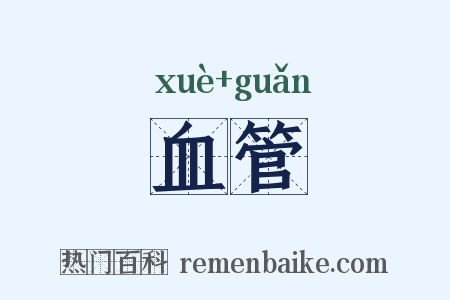 血管是什么意思的图片